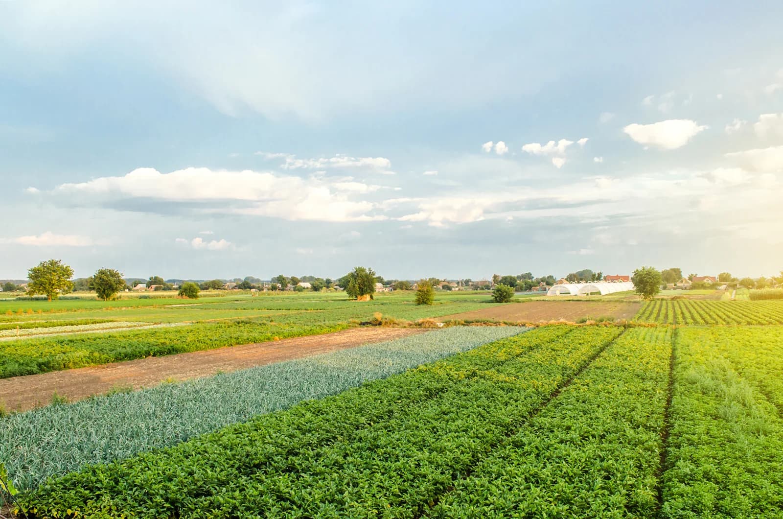 Farm Lands