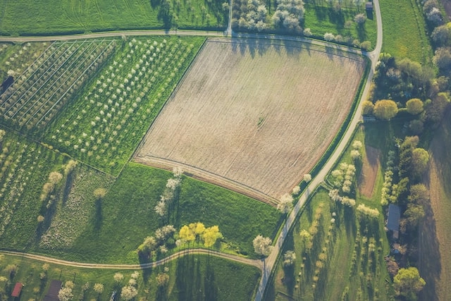 19 Agricultural